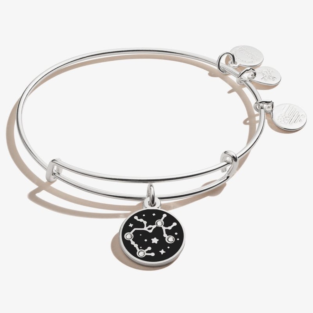 Alex and Ani SAGITTARIUS zodiac bangle! ♐️